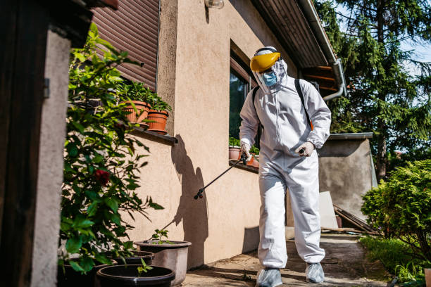 Best Rat Extermination Near Me  in Tompkinsville, KY