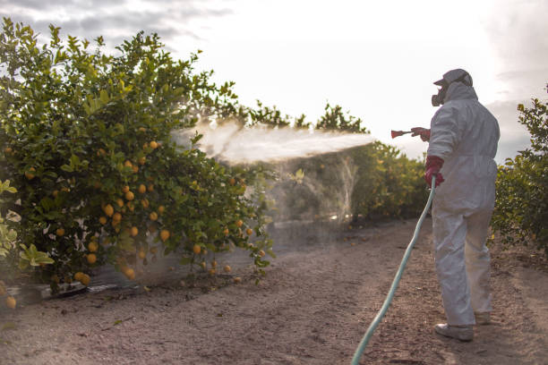 Best Bed Bug Extermination  in Tompkinsville, KY