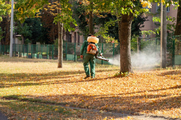 Best Wasp Removal Services  in Tompkinsville, KY